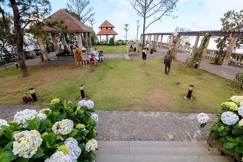 Đứng ngay ở Sun World Ba Na Hills thôi, mà bần thần ngỡ đang trong một góc công viên Paris. Cẩm tú cầu đã trở thành 