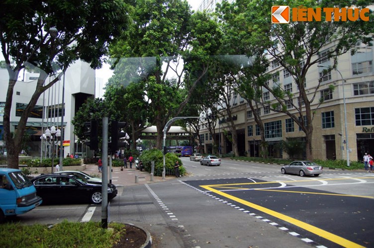  4. Tốc độ phủ xanh tỉ lệ thuận với tăng trưởng kinh tế và dân số. Thông thường, tỉ lệ phủ xanh của các thành phố sẽ suy giảm cùng với đà phát triển kinh tế và dân số. Tuy nhiên, quá trình này diễn ra hoàn toàn ngược lại ở Singapore. Từ thập niên 1960 đến nay, dù kinh tế và dân số liên tục tăng trưởng, tỉ lệ phủ xanh của Singapore liên tục được nâng cao.