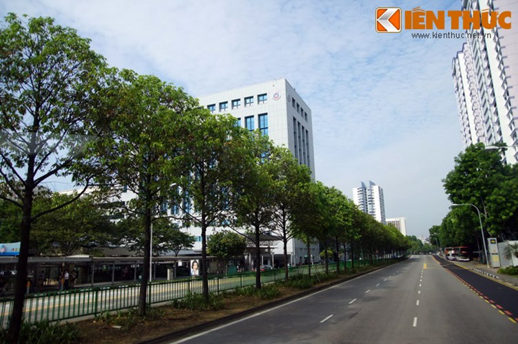 6. Mọi khoảng trống trên đường phố được tận dụng để trồng cây xanh. Tất cả các diện tích để trồng trên đường phố như dải phân cách, tiểu đảo giao thông, đất ven sông... đều được phủ bóng cây xanh một cách bài bản. 