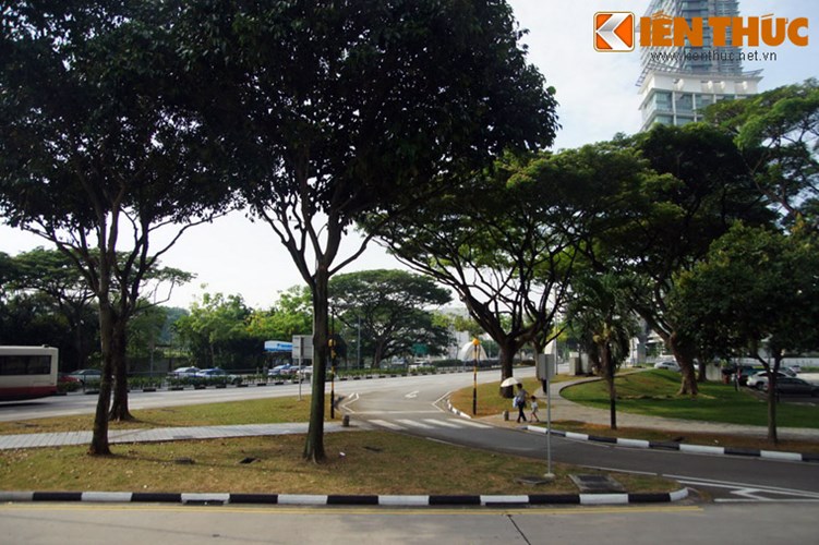 10. Tổ chức ngày hội trồng cây toàn quốc. Từ năm 1971, chính phủ Singapore quyết định chọn một ngày trong tuần thứ nhất của tháng 11 là Ngày Trồng cây toàn quốc. Đây thực sự là một ngày hội của cả nước, với nhiều hoạt động ý nghĩa diễn ra bên cạnh nhiệm vụ chính là trồng cây. 