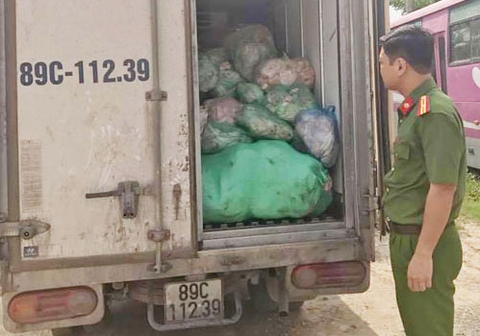 Phát hiện 1,5 tấn bì lợn biến màu, bốc mùi ôi thiu trên ô tô tải