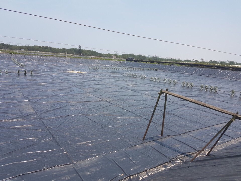 Khu vực đầm tôm của bà con xã Điền Hương