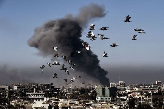 Khốc liệt cuộc chiến giáp lá cà ở Iraq