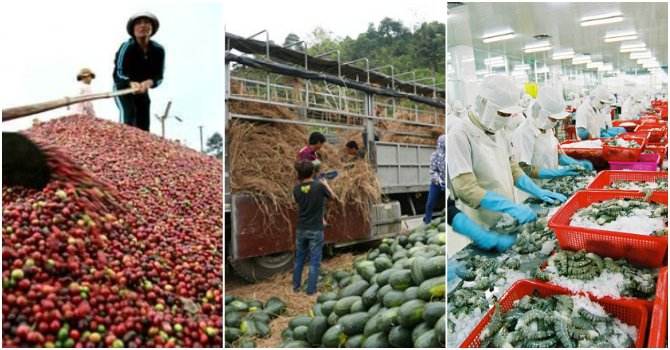Tuy xuất khẩu với khối lượng lớn nhưng giá trị mang về lại rất thấp. Ảnh minh họa