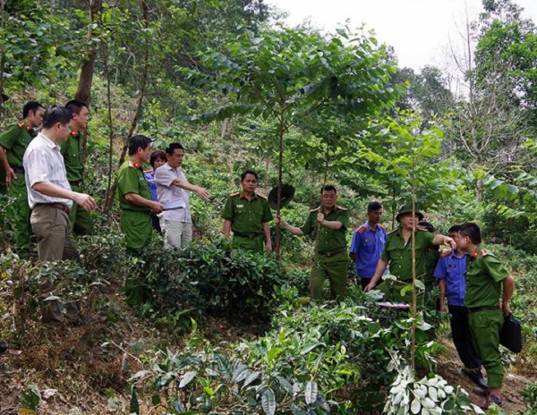 Bắt giữ nghi phạm 15 tuổi giết người rồi trói vào gốc cây