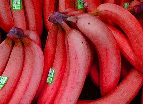 Chuối đỏ rực siêu lạ giá 250.000 đồng/kg hấp dẫn chị em!