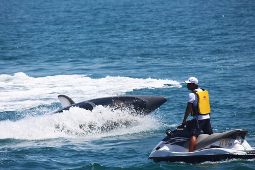 Nếu người sử dụng vô tình lặn quá sâu thì Seabreacher sẽ tự động giảm năng lượng sử dụng và cũng sẽ tự động trồi lên mặt nước để bảo toàn khả năng vận hành và không gây nguy hiểm cho người sử dụng.