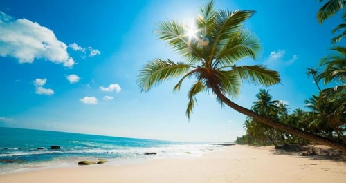 Hơn mười bãi tắm tuyệt đẹp với nắng vàng rực rỡ và màu xanh vời vợi của biển trời đã khiến Phú Quốc không còn xa lạ với bất cứ người yêu biển nào. Mỗi bãi biển nơi đây đều có một điểm đặc sắc riêng: Bãi Dài nổi tiếng với chiều dài 1.500m, bãi Sao với hai dải núi thoai thoải và bờ cát trắng mịn, bãi Khem hình cánh cung, nằm tĩnh lặng và bình yên giữa rừng cây xanh thẫm…  Tuy nhiên, nếu bạn không thể đi hết 13 bãi biển Phú Quốc thì chỉ nên chọn một vài bãi tắm nổi tiếng nhất để có thể đặt phòng theo mùa. Nếu tới đây vào mùa khô, nắng đẹp thì bạn có thể chọn bất cứ bãi tắm nào còn nếu ghé thăm vào mùa mưa, biển động và sóng lớn, bạn nên chọn bãi Dài hoặc bãi Ông Lang ở phía Tây đảo.
