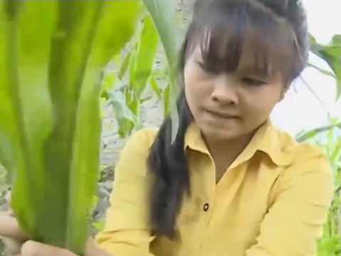 Mơ ước trở thành hướng dẫn viên du lịch của cô học trò nghèo mồ côi