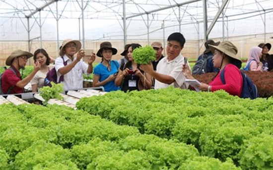 Nông nghiệp công nghệ cao đang nhận được nhiều sự quan tâm của người dân và doanh nghiệp (Ảnh: tintuconline)