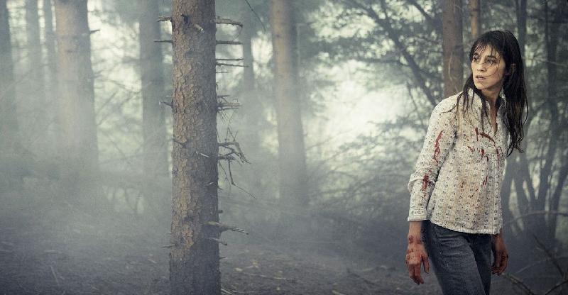 Antichrist (2009). Nhiều phân cảnh “giường chiếu” trần trụi được khai thác theo chủ đề kinh dị, có thể khiến bạn thấy cực kỳ sợ hãi khi trực tiếp theo dõi Antichrist ở rạp phim. Tác phẩm điện ảnh Đan Mạch được thực hiện bởi vị đạo diễn tai tiếng Lars von Trier, thực tế, đã khiến một số khán giả phải ngất đi hay nôn ói trong lúc ngồi xem. Số khác thì rời khỏi phòng chiếu trong tình trạng mệt mỏi, căng thẳng như vừa bị “tra tấn” tinh thần. Thời báo Guardian của Anh thậm chí từng gọi đây là tác phẩm “gây khinh khiếp nhất trong lịch sử phim ảnh”.  