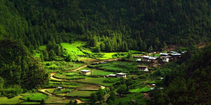10 điều lý thú ở quốc gia hạnh phúc nhất thế giới hình ảnh 8 8. Bhutan là đất nước duy nhất trên thế giới có chỉ số carbon âm: Luật pháp Bhutan quy định 60% diện tích đất nước bắt buộc luôn được bao phủ bởi rừng cây. Điều đó có nghĩa là Bhutan hấp thụ nhiều carbon hơn lượng carbon thải ra không khí, không làm hại đến môi trường. Ảnh: BBC.