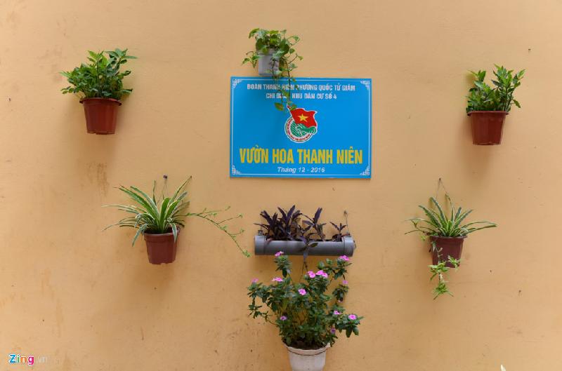 Bai rac don 10 nam khong sach bien thanh vuon hoa hinh anh 3