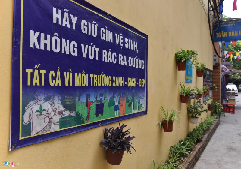 Bai rac don 10 nam khong sach bien thanh vuon hoa hinh anh 4
