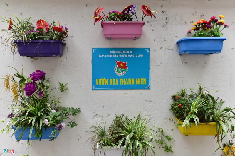 Bai rac don 10 nam khong sach bien thanh vuon hoa hinh anh 6