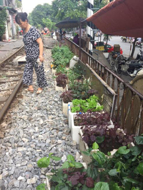 Có thể tận dụng là nơi trồng rau, như vườn nhà.