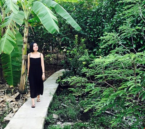 Việt Trinh, Diễn viên Việt Trinh, sao việt