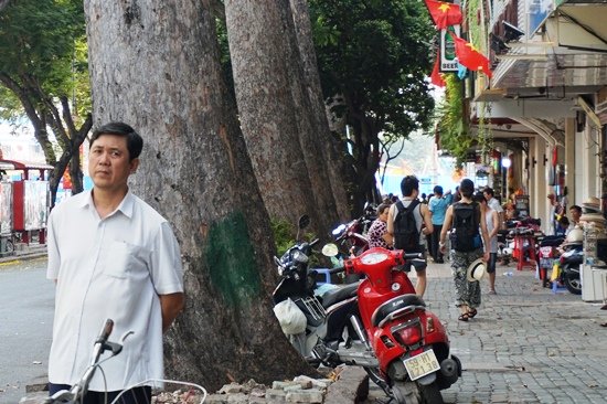 Nhiều cây cổ thụ có đường kính vài người ôm bị chặt bỏ khiến người dân tiếc nuối