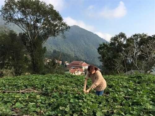 Căn biệt thự ở Tam Đảo Vĩnh Phúc, Hoàng Thùy Linh thường về nghỉ dưỡng cùng gia đình