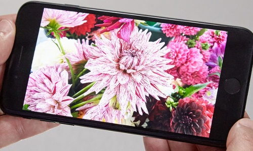 Tuy nhiên iPhone 7 vẫn duy trì màn hình nhỏ kích thước 4,7 inch với độ phân giải thấp tương ứng là 750 x 1334 pixel và tất nhiên mật độ điểm ảnh cũng thấp hơn nhiều so với U11 chỉ đạt 326 pixel.