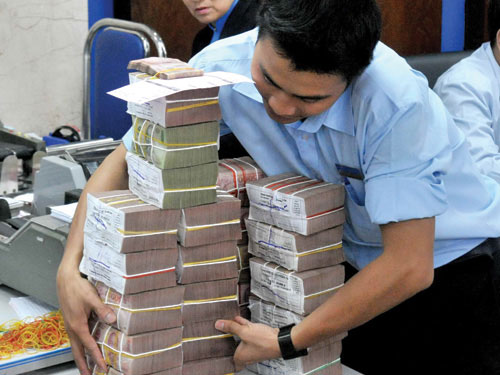 Ngân hàng vào cuộc hỗ trợ người vay chăn nuôi lợn