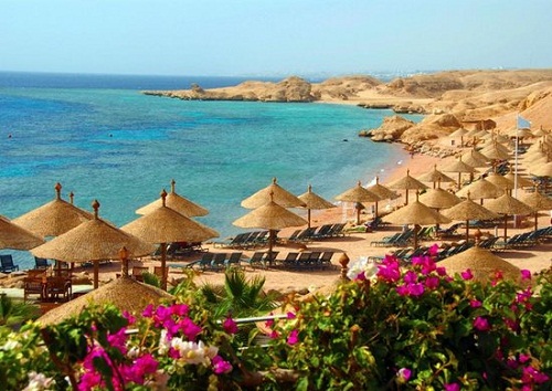 Shark's Bay Beach, gần Sharm El Sheikh, Ai Cập. Sharks Bay là một bãi biển nổi tiếng, với một lựa chọn tốt đáp ứng các nhu cầu của người dân bãi biển. Thời điểm lý tưởng nhất để du lịch: Tháng 10 - Tháng 5