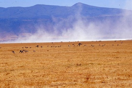 Arusha, Tanzania là điểm đến tiếp theo trong danh sách. Nếu nhắc đến Tanzania, bạn sẽ tìm được vô cùng nhiều điều thú vị tại đất nước này. Nhưng nếu bạn không có nhiều thời gian tại đất nước này, hãy chọn vườn Quốc gia Thành phố Arusha để thăm quan và trải nghiệm. Mặc dù nhỏ hơn hầu hết các điểm đến nổi tiếng khác ở Tanzania, tuy nhiên, Vườn quốc gia này có một loạt các môi trường sống bao gồm rừng núi Meru, Ngurdoto Crater ở phần phía đông nam của công viên, và Momela Lakes, một loạt bảy hồ miệng núi lửa. khỉ khỉ colobus đen trắng có thể dễ dàng phát hiện trong khu rừng trong khi tầng lầy của miệng núi lửa được rải rác với những đàn trâu, ngựa vằn và heo rừng. Momela Lakes là nhà của một lựa chọn lớn của cư dân và các loài chim nước di cư. Mọi người đến đây để xem động vật hoang dã và cũng để leo núi Meru.