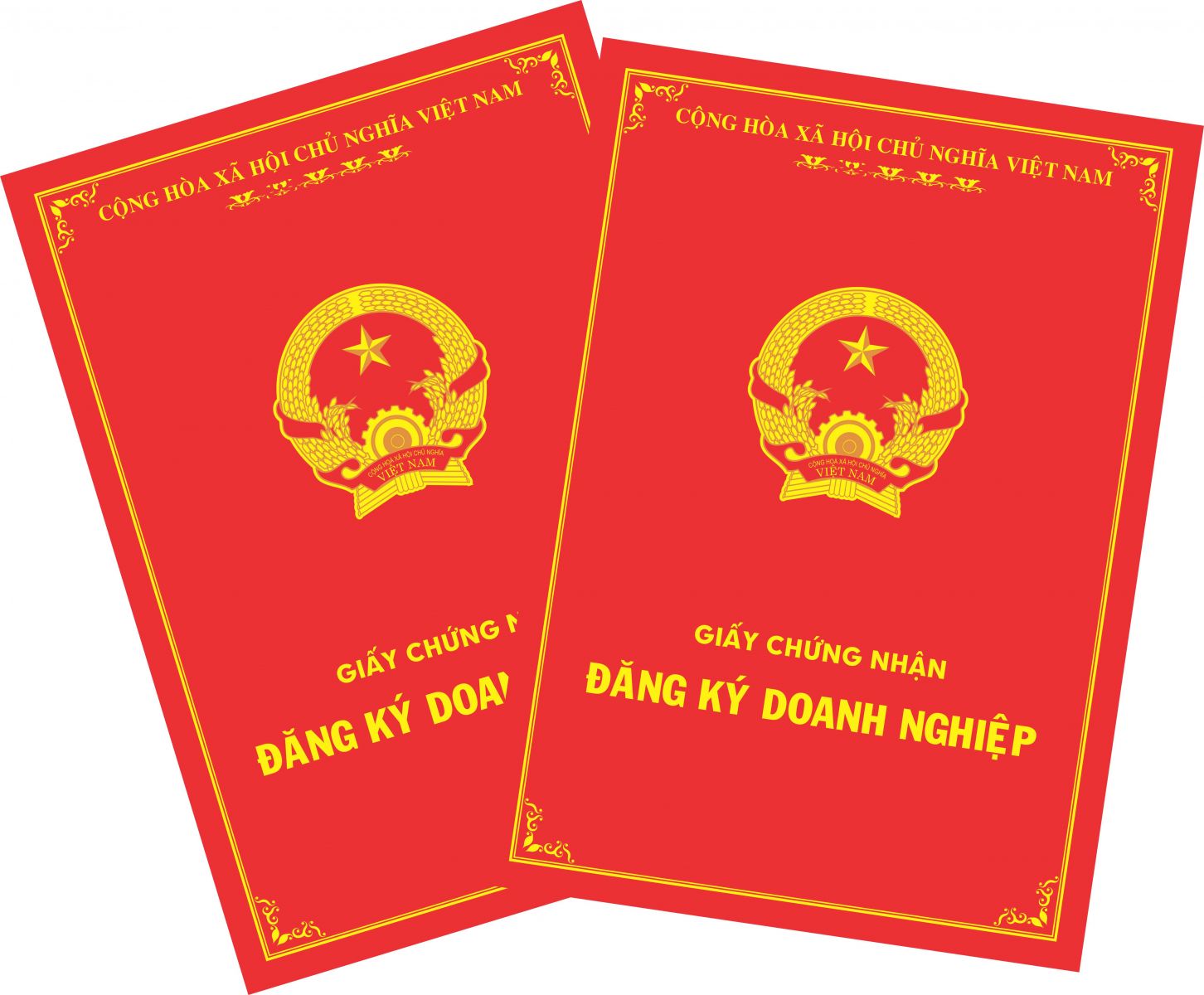 Xem xét việc thu hồi Giấy chứng nhận đăng ký doanh nghiệp của Công ty TNHH Kim Anh