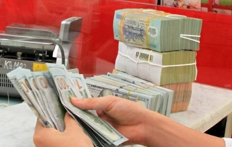 Tỷ giá VND/USD vẫn chịu sức ép rất lớn