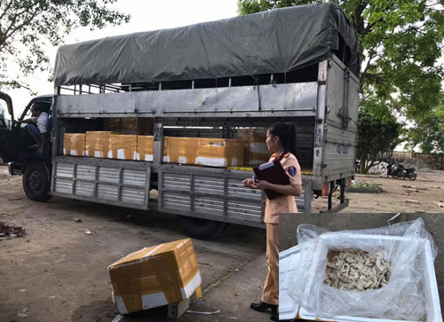 Phát hiện hàng tấn nội tạng lợn, bốc mùi ôi thiu trên xe tải