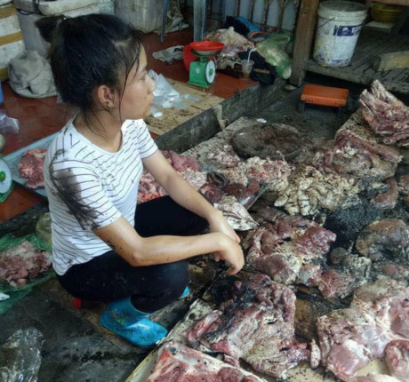 Lãnh đạo Hải Phòng họp khẩn vụ thịt lợn rẻ bị hắt dầu luyn