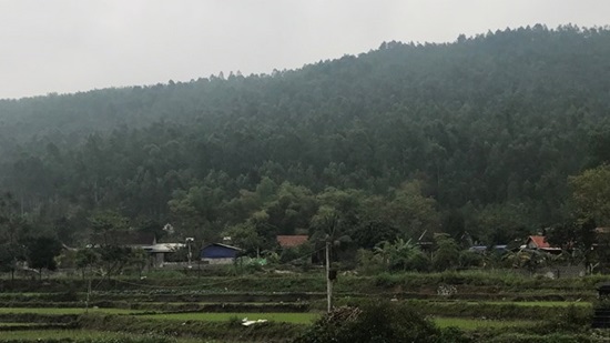 Chủ tịch tỉnh Vĩnh Phúc đề nghị &quot;thông cảm&quot; chủ trương phá rừng xây nghĩa trang