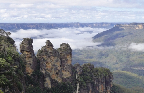 Điều tuyệt vời ở Blue Mountains là du khách có thể dễ dàng thỏa mãn thú vui đón lễ Giáng sinh. Những con đường dài ngắn khác nhau sẽ đưa du khách đi qua khung cảnh phủ đầy sương giá đã được liệt vào Di Sản Thế Giới, thăm những vách núi sa thạch đổ xuống những khu rừng mờ sương và những dòng suối hiền hòa chảy đến những thác nước trong những hẻm núi sâu. Thể hiện sự thán phục trước Three Sisters – ba ngọn tháp bằng đá được đặt tên theo truyền thuyết của thổ dân - đến từ Katoomba. Sau đó đến thăm Thác Wentworth, một thác nước đẹp như  tranh nằm ở rìa thung lũng Jamison. Khám phá những dòng sông và hốc đá ngầm ở hang Jenolan và đứng trên đỉnh gò đất của Hanging Rock để nghe tiếng vọng của du khách qua thung lũng cây cối um tùm bên dưới. Du khách có thể dành 1 hoặc 3 ngày trên 6 con đường mòn Six Foot - con đường dành cho cưỡi ngựa năm 1884 trải dài từ Katoomba đến hang động Jenolan.