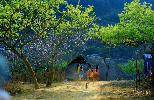 Quy hoạch du lịch từng địa phương chưa thống nhất