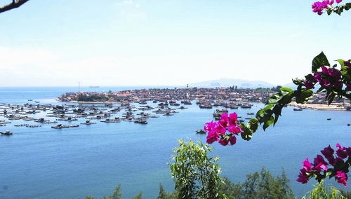 Đảo Nghi Sơn cũng là một lựa chọn thú vị cho du khách nếu đến Thanh Hóa. Đảo Nghi Sơn cách thành phố Thanh Hoá khoảng 50 km về phía Nam và cách Thị trấn Tĩnh Gia khoảng 30 phút đi xe bus. Cùng nằm trên một vỹ độ với Sầm Sơn nhưng khí hậu mùa hè ở đây trong lành mát mẻ hơn nhiều. Đảo Nghi Sơn có không khí trong lành, bãi biển đẹp và bến cảng tấp nập tàu bè qua lại. Đảo có nhà hàng, khách sạn, bãi tắm và các khu vui chơi giải trí. Ngoài ra, bạn  sẽ có dịp thăm lại các di tích cổ xưa như pháo đài Tĩnh Hải, Thành ông Ninh, đặc biệt là giếng Rửa Ngọc, nơi vẫn còn phảng phất hình ảnh bi thương của đôi tình nhân Trọng Thủy -Mỵ Châu. Bạn cũng có thể tham quan chợ cá họp hàng ngày từ 5 đến 7h sáng. Nếu bạn có ý định mua hải sản khô về ăn hoặc làm quà, bạn có thể tìm đến các cơ sở sản xuất ngay trên đảo với giá cực kì hợp lý