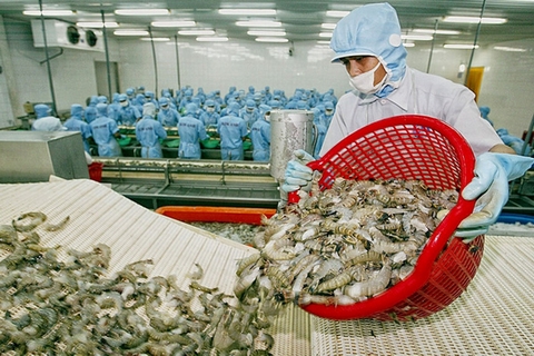 Úc rà soát đánh giá rủi ro đối với tôm nhập khẩu