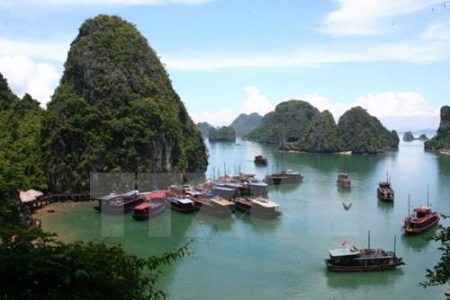 Vịnh Hạ Long. Ảnh: TTXVN