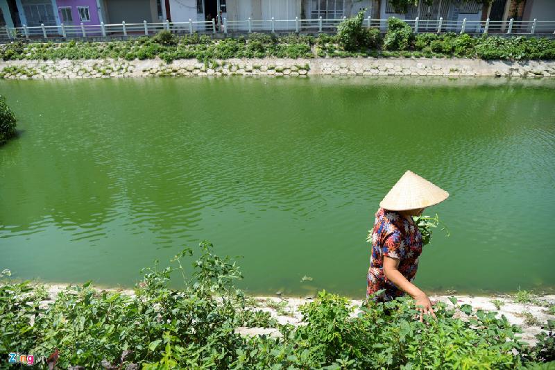 Bên cạnh nước sạch mang từ nhà, người dân cũng sử dụng nước hồ để tưới.