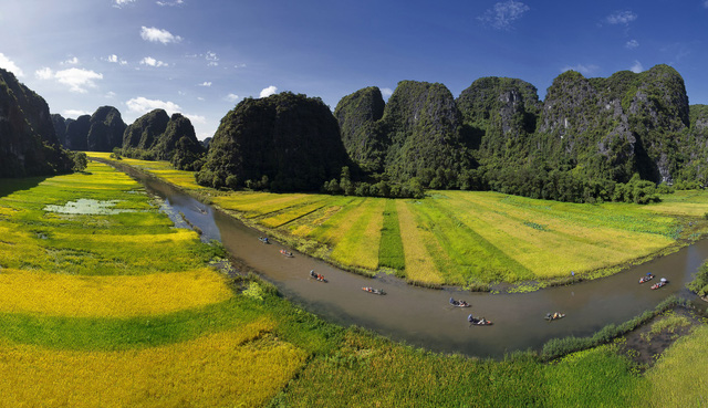 Mùa này, thường sau 9h sáng, số lượng du khách bắt đầu tăng, bức hoạ đồng quê thêm màu sôi động.