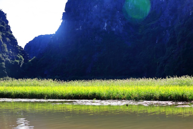 Khung cảnh 2 bên dòng suối thật lãng mạn.