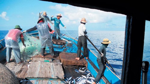 Việt Nam bác bỏ lệnh cấm đánh bắt cá của Trung Quốc ở Biển Đông