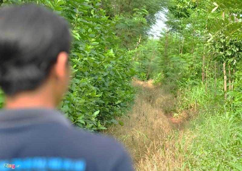 Được hàng trăm ha rừng cây công nghiệp che chắn, căn nhà trở nên biệt lập với thế giới bên ngoài. Tuyến độc đạo để vào nhà là đường đất quanh co, bị cỏ cây che lối với chiều dài gần 1 km
