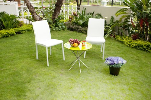 Thu Hương, sao Việt Ngôi nhà có thiết kế hài hoà, tinh tế. Ngoài sân là khu vườn xinh xắn, xanh tươi – nơi Thu Hương thường chơi đùa cùng hai con trai.