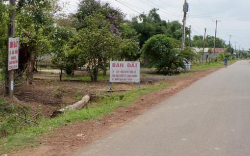 Đất quanh dự án sân bay Long Thanh được rao bán rầm rộ (Ảnh: Dân trí)