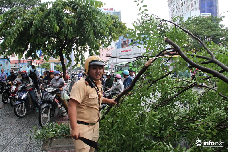 Trong một diễn biến khác, trong cơn mưa chiều cùng ngày (23/6), một nhánh cây xà cừ trước số 125 Cách Mạng Tháng Tám (phường Bến Thành, quận 1, TP.HCM) bất ngờ bị gãy rơi xuống, trúng vào ô tô.Tại hiện trường nhánh cây có đường kính khoảng 30 cm, dài khoảng 5 mét, cành lá xanh tốt nằm chắn hết một làn đường, phần cành lá đè trúng đầu xe. May mắn vào thời điểm nhánh cây gãy đường vắng nên không có thương vong đáng tiếc. Chiếc xe ô tô cũng không bị hư hỏng nặng.