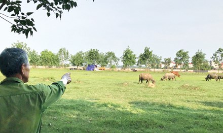 Hà Nội: Lập Tổ liên ngành gỡ vướng cho các dự án bất động sản