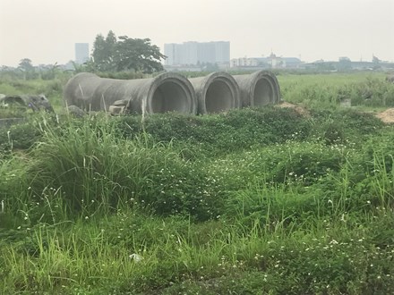 Tại thời điểm chúng tôi có mặt tại đây, trên khu đất này chỉ có khu nhà của Ban quản lý dự án nằm trơ trọi. Tại huyện Mê Linh, riêng Tổng Công ty HUD đang “ôm” nhiều dự án KĐT với hàng trăm ha đất, gần chục năm nay không chỉ không triển khai xây dựng mà còn rất nhiều diện tích đất chưa đền bù, chưa GPMB. Cụ thể gồm: KĐT Thanh Lâm- Đại Thịnh 1 (53,57ha); KĐT Mê Linh-Đại Thịnh (141,84ha); KĐT Thanh Lâm-Đại Thịnh 2 trên 55 ha được triển khai từ lâu nhưng đến giờ vẫn còn GPMB dang dở (0,18ha chưa GPMB). 