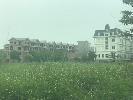 Lãnh đạo của các địa phương ở vùng đô thị hoang này  cho hay, không những không triển khai, nhiều chủ đầu tư không thể liên lạc qua điện thoại, trong khi trụ sở doanh nghiệp cũng không còn. 