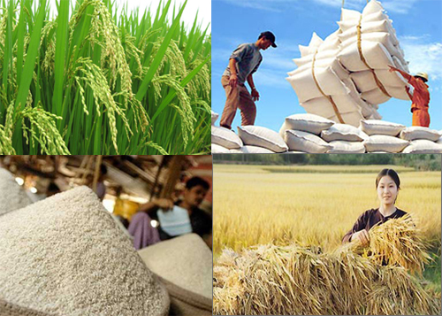 Ngành thực phẩm Việt Nam: Cơ hội và tiềm năng đang rất lớn