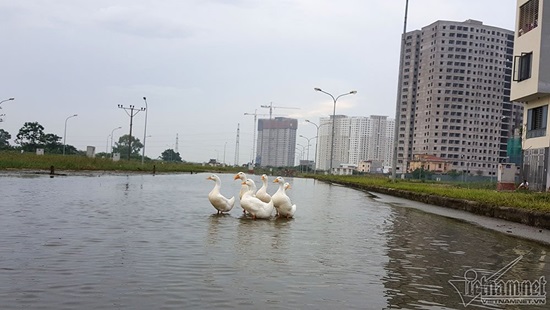 Ông Cường (52 tuổi, một bảo vệ tòa nhà ) cho biết: Tôi sống ở đây đã nhiều năm, tình trạng ngập úng liên tục xảy ra. Ngắn cũng 4 ngày, còn thường là hơn 1 tuần nước mới rút hết